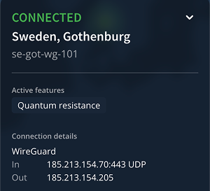 Connection details, listing the connected location, server, active features, and IP connection details.