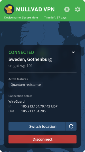 Connected to the VPN with the connection dashboard expanded, showing the connection details.