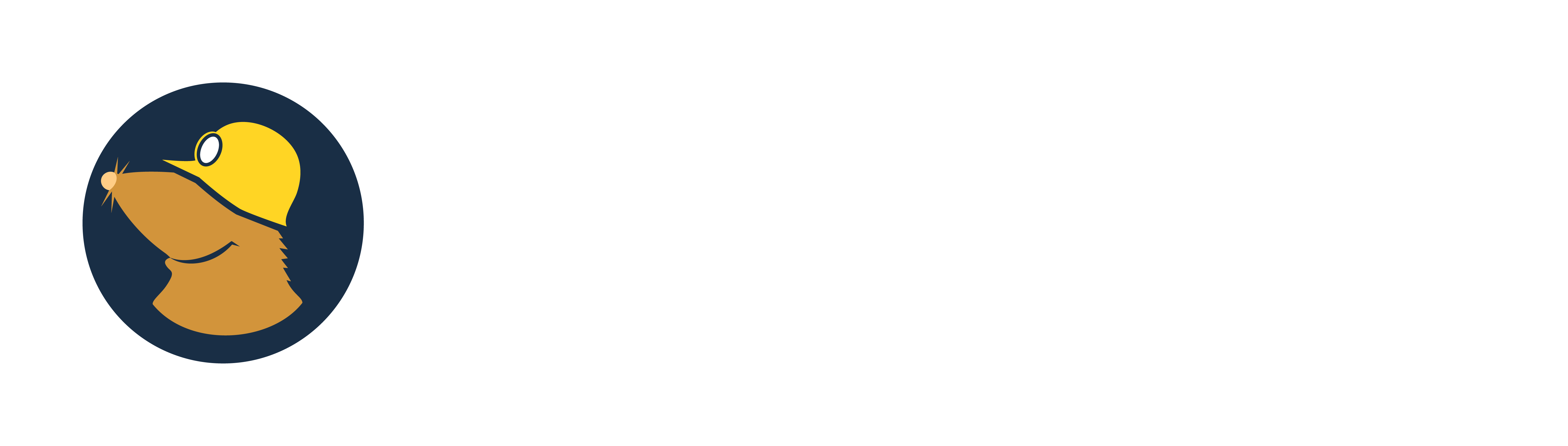 Mullvad VPN Logo Color negative